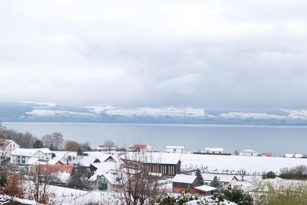 Chalet With Stunning Lake And Mountain Views Avec Une Vue A Couper Le Souffle, Une Spacieuse Terrasse Et Jardin Chatillon  Zewnętrze zdjęcie